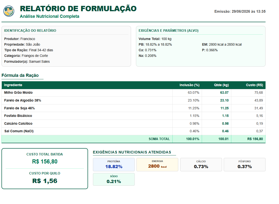 Relatório de formulação em PDF